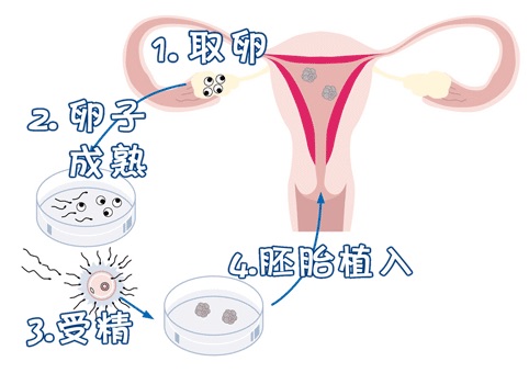 林医生